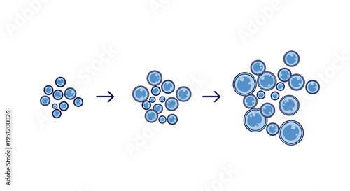 Biological diagram showing the stages of cell division or multiplication from a single cluster to a larger group of blue spheres.
