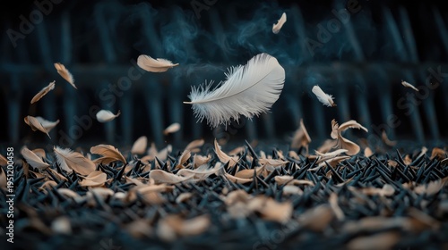 A White Feather Soars Above the Contrast of Nature and Conflict, Exploring Harmony Amidst Chaos