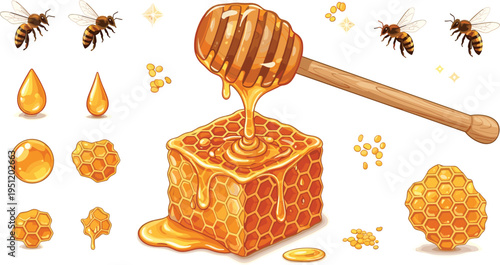 Honeycomb with dripping honey and wooden dipper sweet natural beekeeping product food vector illustration isolated background