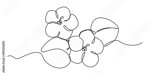  Continuous line art of African violet. Saintpaulia flowering plant black linear sketch isolated on white background.