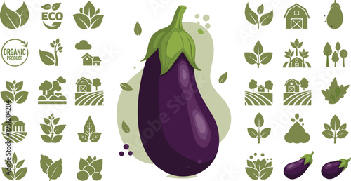 Eggplant vegetable with organic farming icons eco agriculture food concept vector illustration isolated background