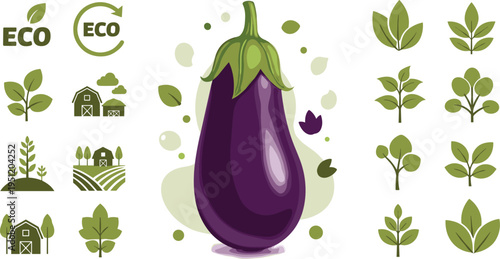 Fresh eggplant vegetable with eco organic farming icons healthy food agriculture vector illustration isolated background