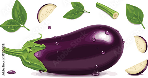 Fresh eggplant vegetable with slices and green leaves healthy organic food ingredient vector illustration isolated background