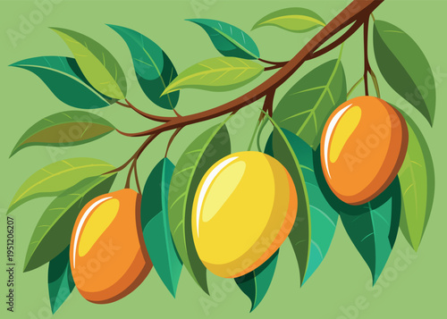 Mangoes on a tree branch with lush green leaves