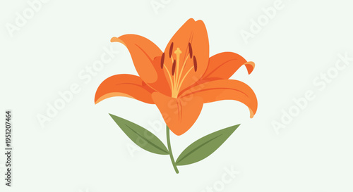 Vibrant Orange Lily Flower Closeup.
