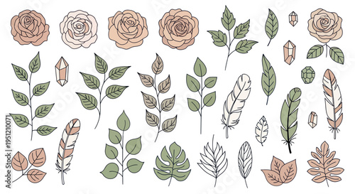 Collection of leaves and roses illustration.