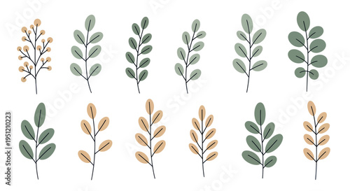 Collection of various leafy green branches.