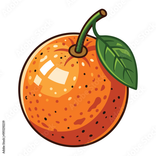 Orange Fruit with Leaf Illustration