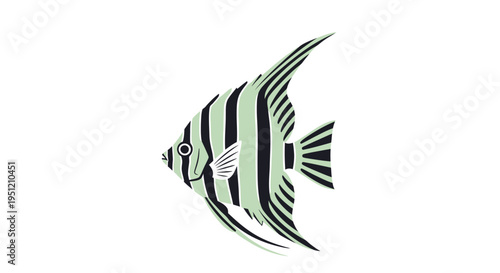 Black and white tropical fish swimming.