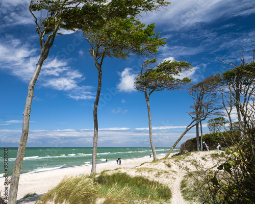 Ostseeküste Spaziergänger am Darsswald