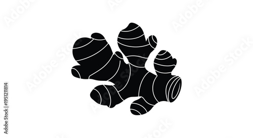 Black and white illustration of a ginger root with multiple branches