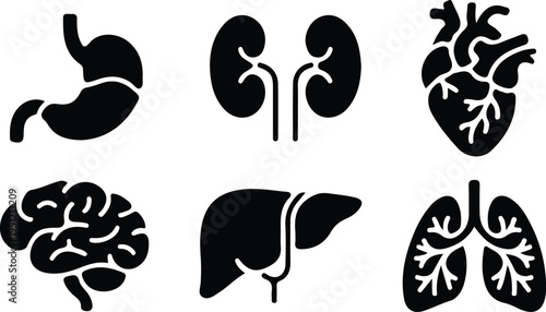 human organ including stomach kidney heart brain liver lungs anatomy black icon set vector illustration design 