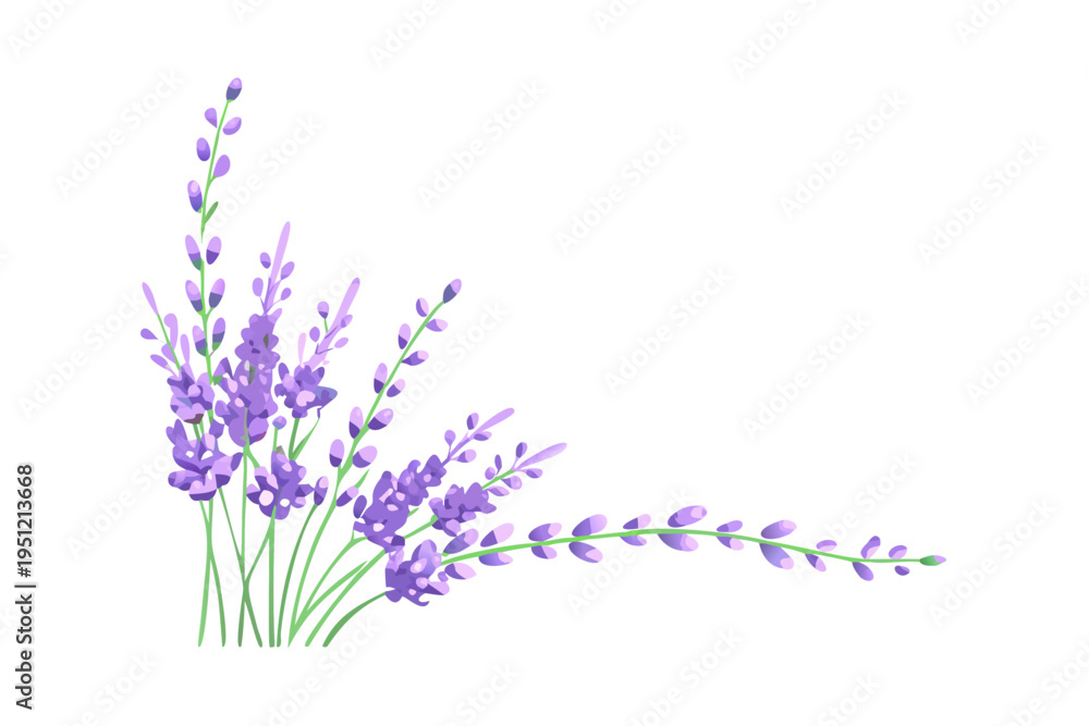 Obraz premium Lavender floral botanical branch arrangement composition