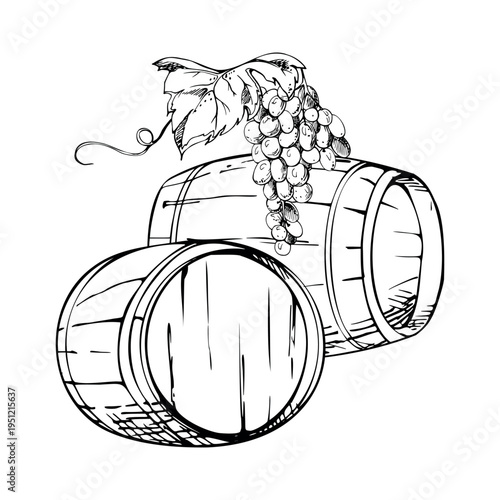 Cellar storage wooden barrel casks for wine, sherry, beer or whisky, grape cluster with leaf, creeper tendrils. Ink vector illustration hand drawn for vineyard signage, distillery tasting room decor