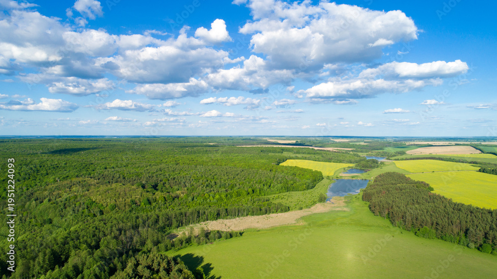 Fototapeta premium green field and blue sky