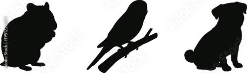 Pet silhouettes hamster budgie bird pug dog domestic animals