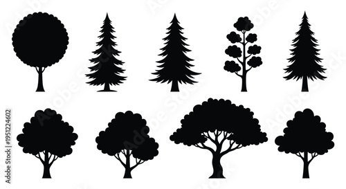 Collection of black trees in various shapes a striking silhouette
