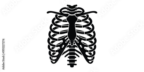 Human skeleton bones set silhouette isolated on white background, anatomical femur pelvis collection, medical anatomy illustration, orthopedic study, healthcare education graphic design resource