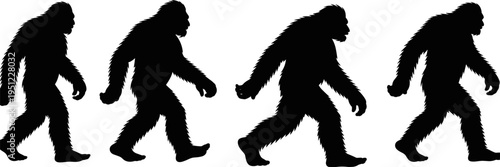 Bigfoot Sasquatch silhouettes walking sequence isolated on white background, mythical creature legend concept for wildlife folklore, flat vector illustration