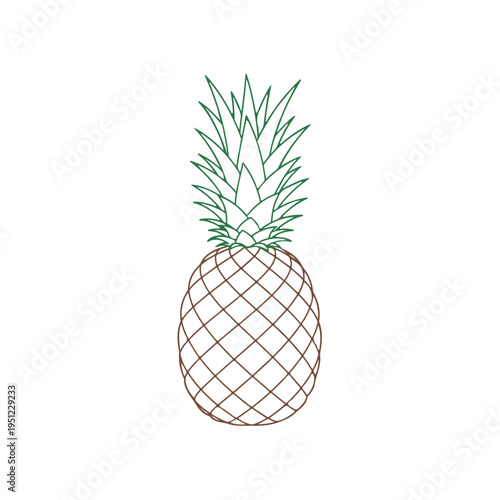 Green leafed brown pineapple outline fruit tropical food healthy d