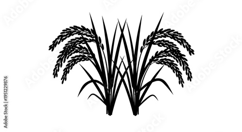 Black and white illustration of two stalks of ripe rice grain