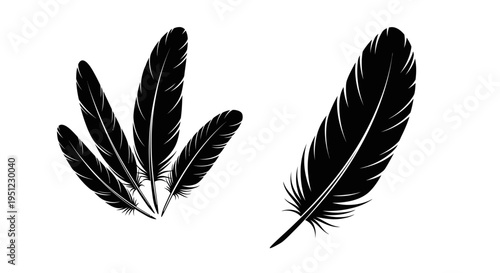 Black and white illustration of three feathers grouped with a single feather