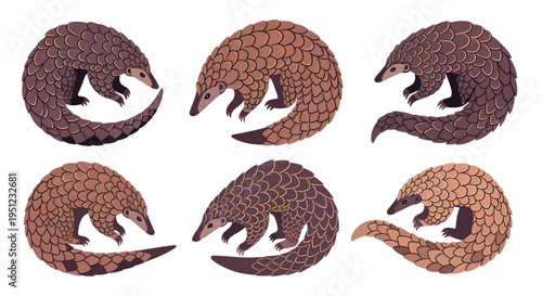 Cute Pangolin Illustrations Set, Armored Mammal Wildlife Collection