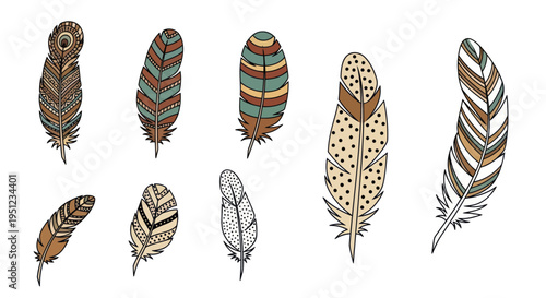 Colorful feathers in various patterns.