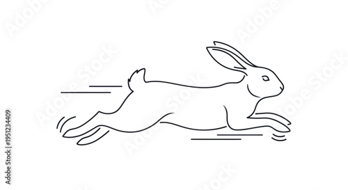 Fast Running Hare In Motion.