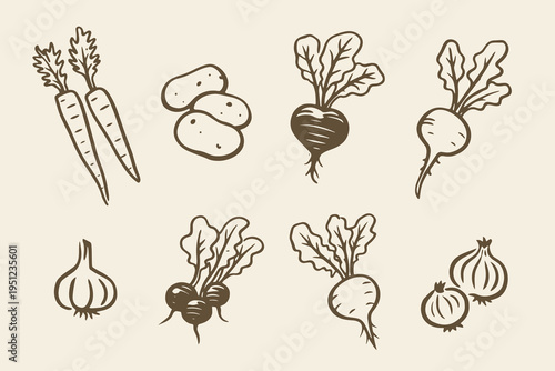 Root vegetable elements set outline sketch vector illustration