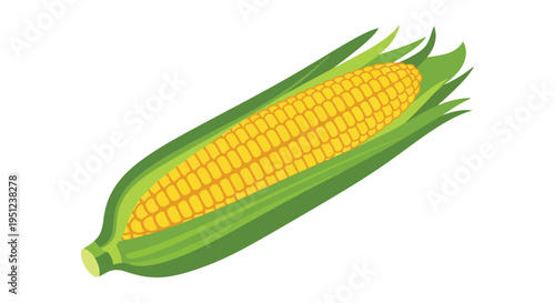 A vibrant illustration depicts a single ear of golden yellow corn partially enclosed by bright green husks and leaves