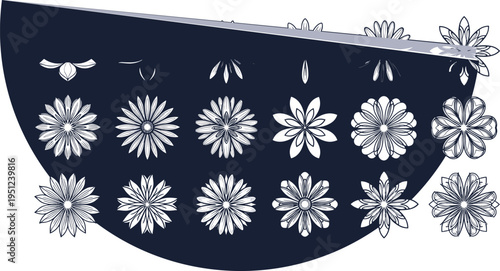 Floral semicircle silhouette illustration design, flower artwork concept, botanical theme, decorative nature symbol, seasonal pattern graphic style image