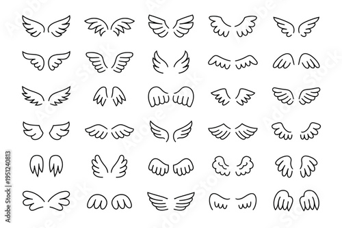 Angel wings heavenly hawk feather pattern detailed symmetry spiritual flight texture divine sky illustration elegant design