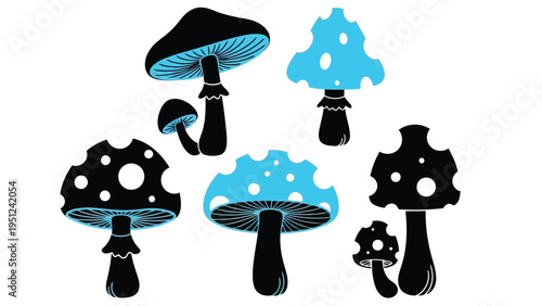 Stylized illustration of various mushrooms with contrasting dark and blue tones