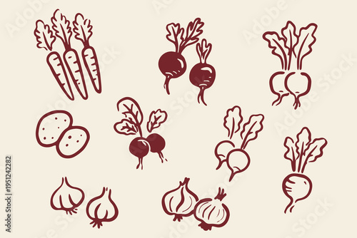 Root vegetable elements set outline sketch vector illustration