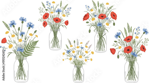 Wildflower Bouquet Collection in Glass Jars with Poppies, Daisies, and Meadow Plants, Botanical Floral Arrangements for Rustic Decor and Natural Design Projects