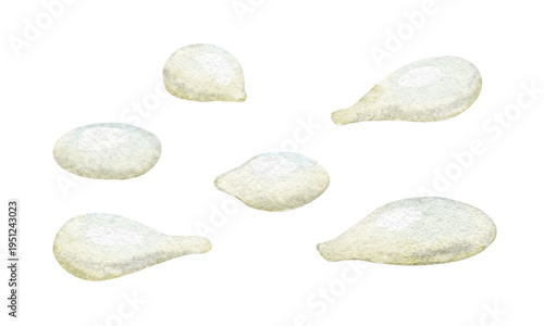 Fotografia Watercolor illustration of lemon Seeds