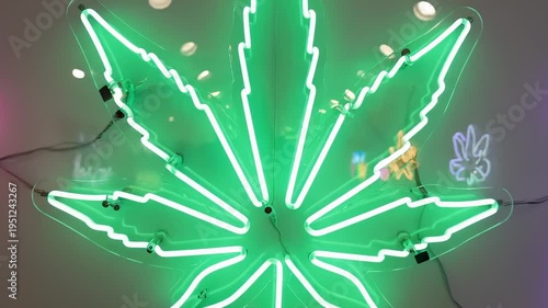 Neon Cannabis Leaf Signs Glowing in Different Colors on Wall