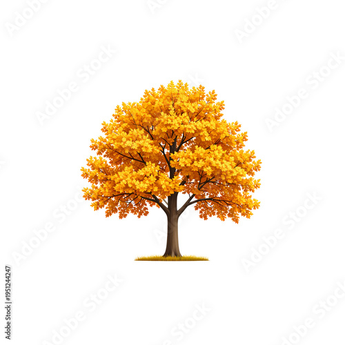 An illustration of a tree in autumn with orange and yellow maple leaves on branches, isolated against a white background.