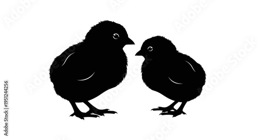 Easter Vector illustration of two black chicks isolated on White Background vector
