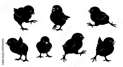 Easter Set of 7 black chick icons vector isolated on White Background vector