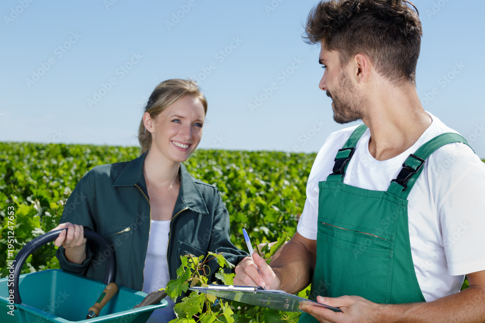 Naklejka premium happy couple of vineyard workers