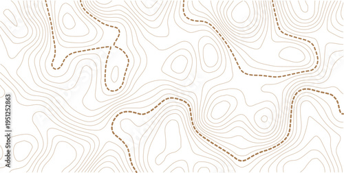 Topographic map background. Geographic line map with elevation assignments. Contour background geographic grid. Vector illustration.