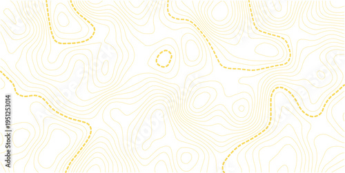 Topographic map background. Geographic line map with elevation assignments. Contour background geographic grid. Vector illustration.