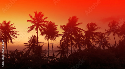 The Tropical  palm trees with red sky sunset silhouette in Summer background