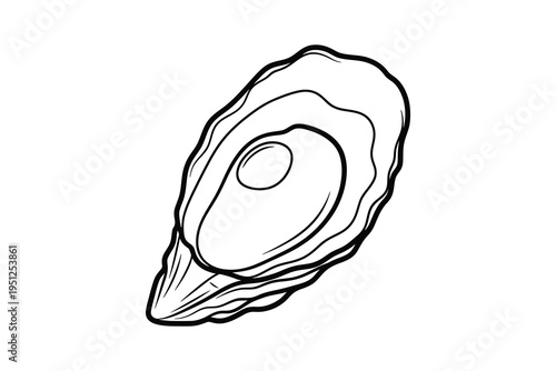 A detailed line drawing of a single open oyster shell with a pearl, isolated on a white background, showcasing its delicate texture and shape.