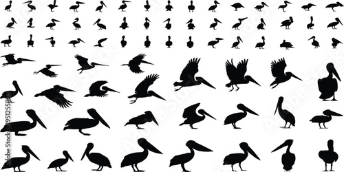 Collection of Pelican Silhouettes in Various Poses and Actions bird flying