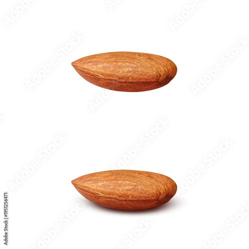 アーモンドのイラスト リアル