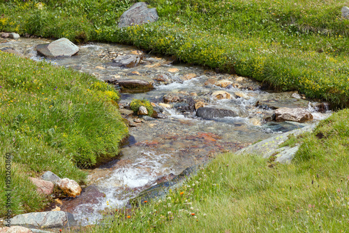 A small stream flowing through a meadow in the mountains, Alps, Europe.