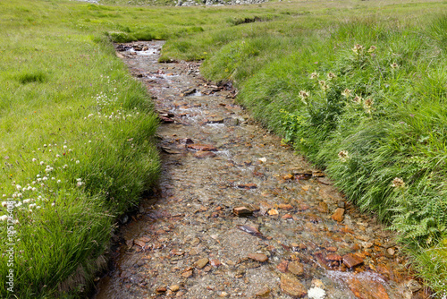 A small stream flowing through a meadow in the mountains, Alps, Europe.